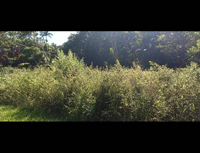 LAND FOR SALE IN LEISURE BAY